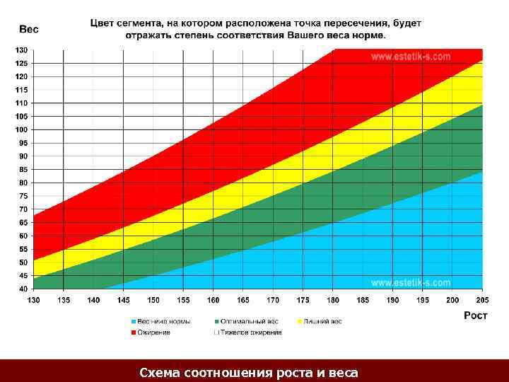 Схема соотношения роста и веса 