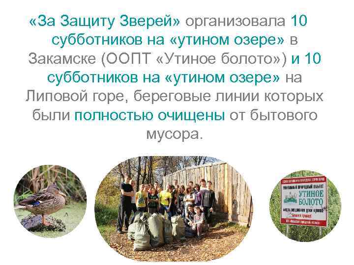  «За Защиту Зверей» организовала 10 субботников на «утином озере» в Закамске (ООПТ «Утиное