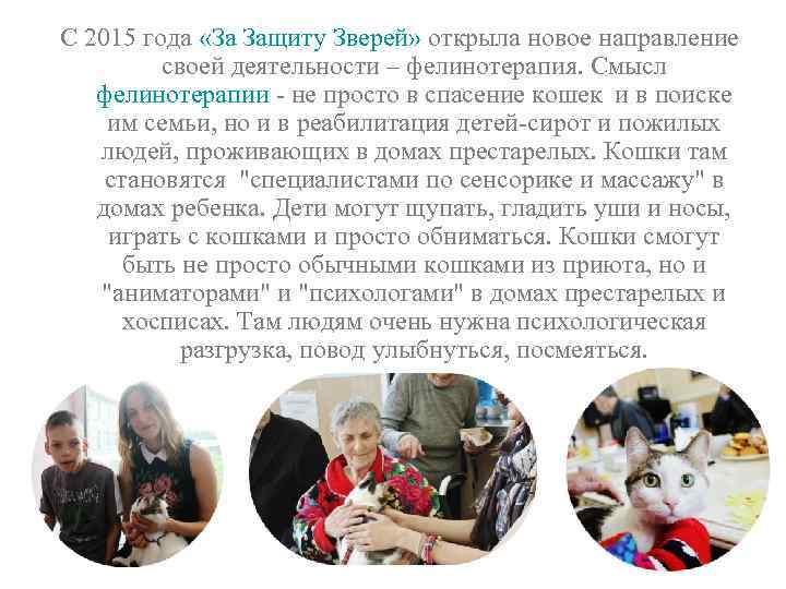 С 2015 года «За Защиту Зверей» открыла новое направление своей деятельности – фелинотерапия. Смысл