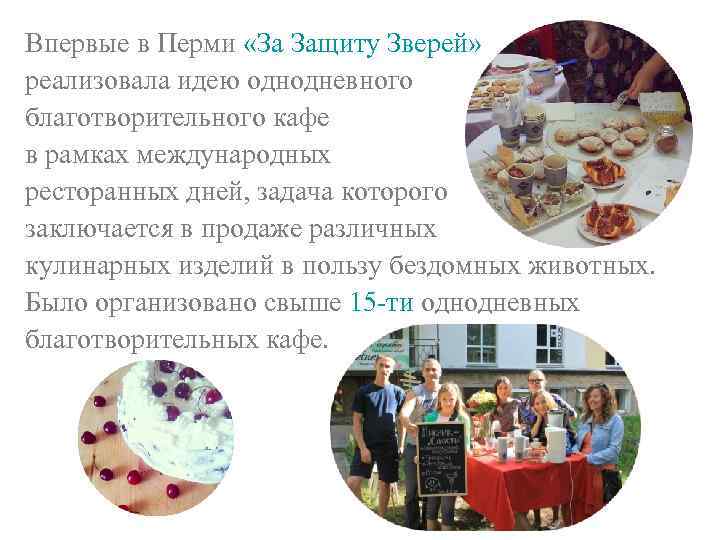Впервые в Перми «За Защиту Зверей» реализовала идею однодневного благотворительного кафе в рамках международных