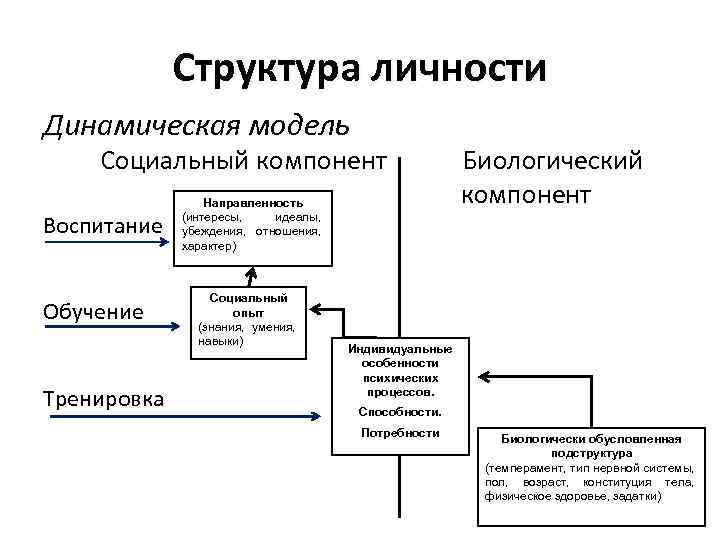 Человек индивид личность взаимосвязь понятий проект