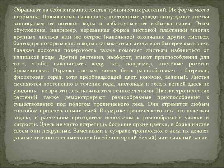 Обращают на себя внимание листья тропических растений. Их форма часто необычна. Повышенная влажность, постоянные