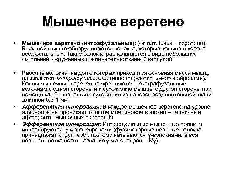 Мышечное веретено • Мышечное веретено (интрафузальные): (от лат. fusus – веретено). В каждой мышце