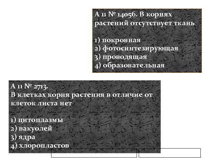 Отсутствуют ткани. В корнях растений отсутствует ткань. Какая ткань отсутствует в корнях растений. Ткань отсутствующая в корне. Какая ткань отсутствует в корне.