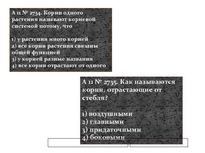 A 11 № 2734. Корни одного растения называют корневой системой потому, что 1) у