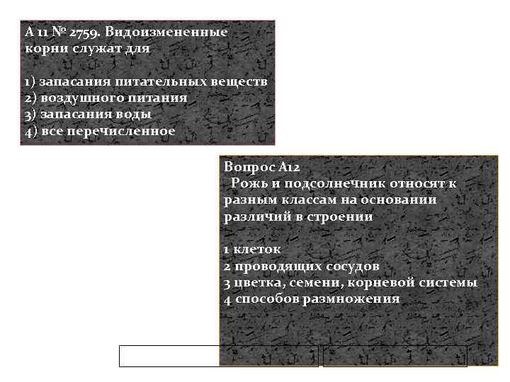 A 11 № 2759. Видоизмененные корни служат для 1) запасания питательных веществ 2) воздушного