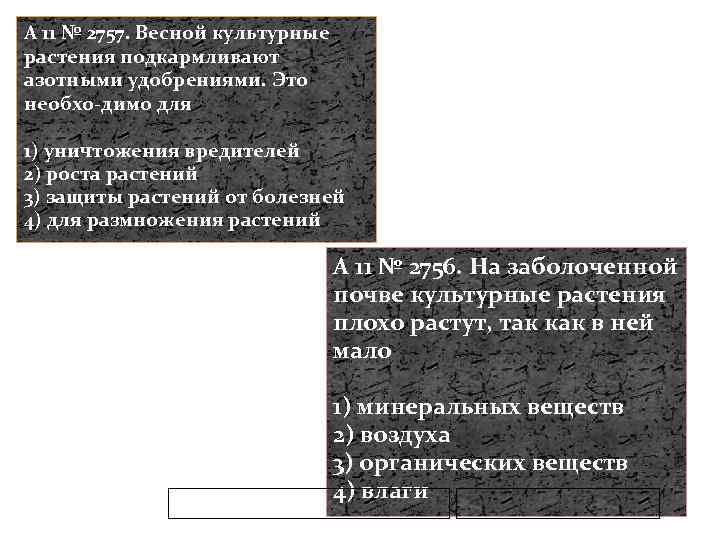 A 11 № 2757. Весной культурные растения подкармливают азотными удобрениями. Это необхо димо для