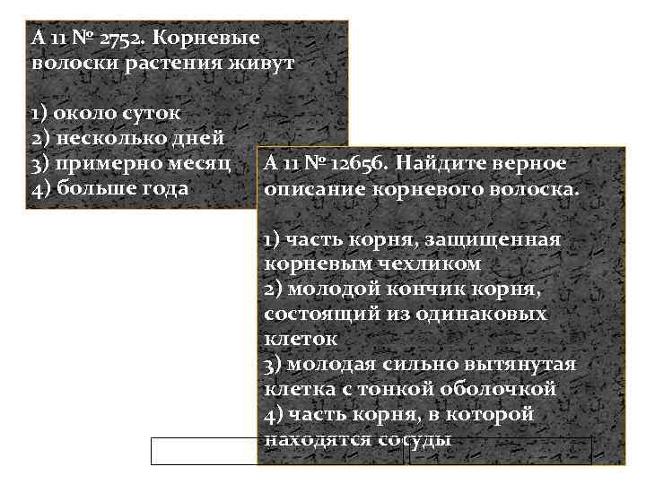 A 11 № 2752. Корневые волоски растения живут 1) около суток 2) несколько дней