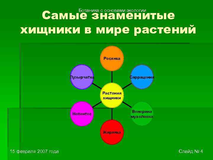 Самые знаменитые хищники в мире растений Ботаника с основами экологии Росянка Саррацения Пузырчатка Растения