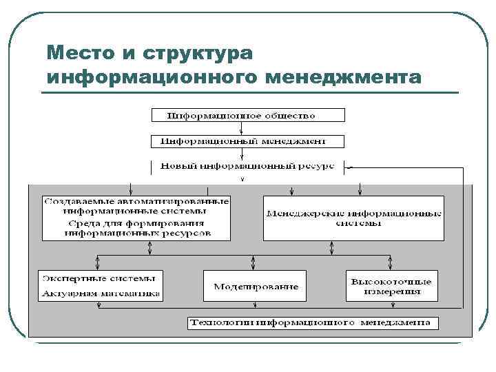 Место и структура информационного менеджмента 