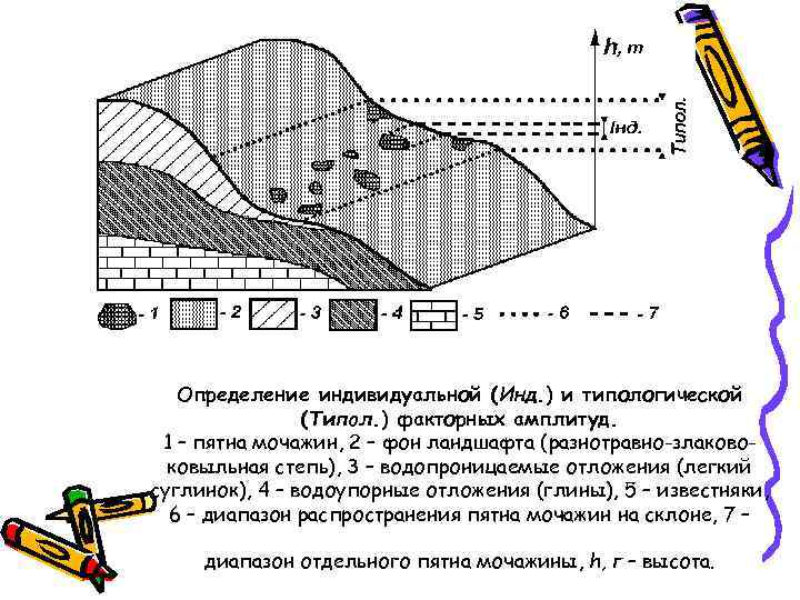 Определение индивидуальной (Инд. ) и типологической (Типол. ) факторных амплитуд. 1 – пятна мочажин,