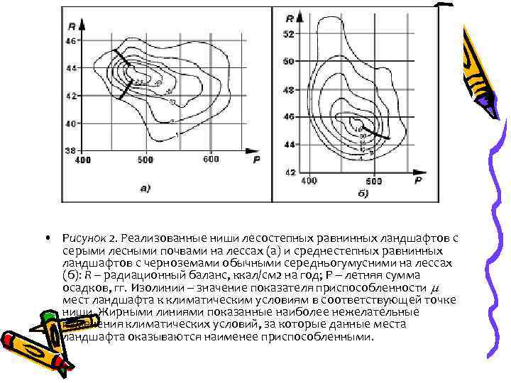  • Рисунок 2. Реализованные ниши лесостепных равнинных ландшафтов с серыми лесными почвами на