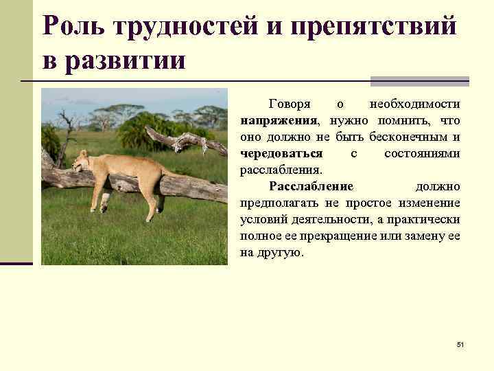 Роль трудностей и препятствий в развитии Говоря о необходимости напряжения, нужно помнить, что оно