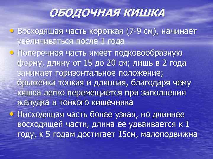ОБОДОЧНАЯ КИШКА • Восходящая часть короткая (7 -9 см), начинает • • увеличиваться после