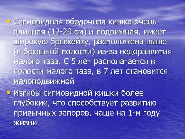  • Сигмовидная ободочная кишка очень длинная (12 -29 см) и подвижная, имеет широкую