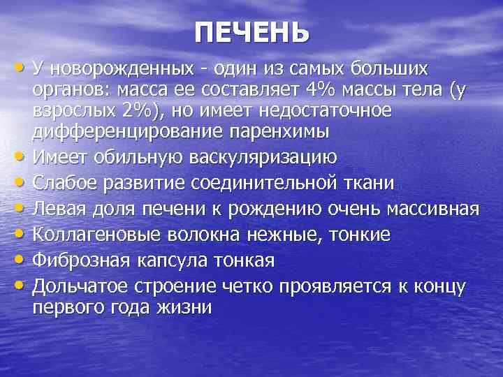 ПЕЧЕНЬ • У новорожденных - один из самых больших • • • органов: масса