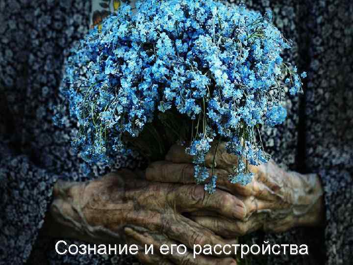 Сознание и его расстройства 