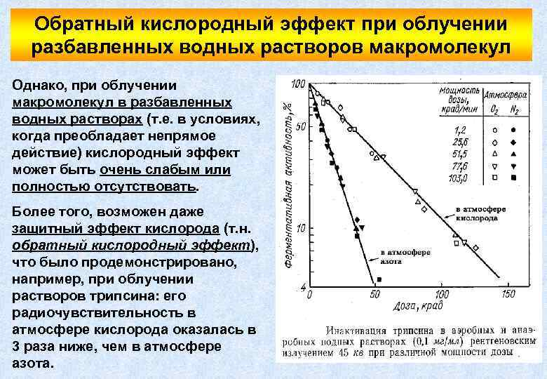 Обратный кислородный эффект при облучении разбавленных водных растворов макромолекул Однако, при облучении макромолекул в