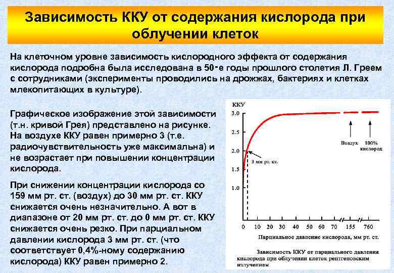 Зависимость ККУ от содержания кислорода при облучении клеток На клеточном уровне зависимость кислородного эффекта