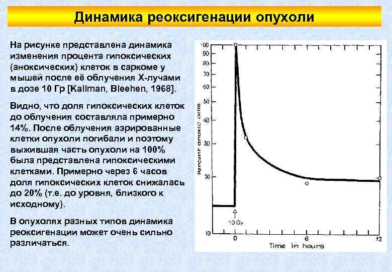 Динамика реоксигенации опухоли На рисунке представлена динамика изменения процента гипоксических (аноксических) клеток в саркоме