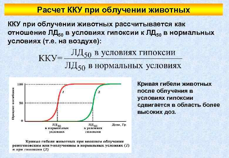 Расчет ККУ при облучении животных рассчитывается как отношение ЛД 50 в условиях гипоксии к