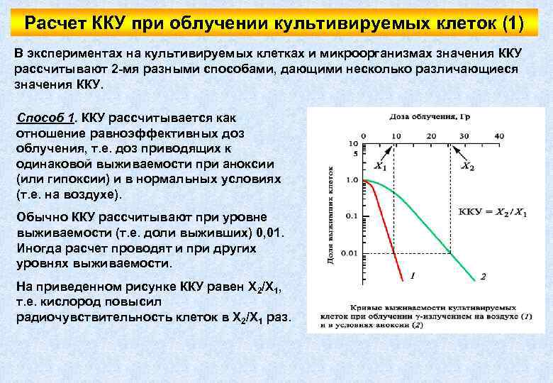 Расчет ККУ при облучении культивируемых клеток (1) В экспериментах на культивируемых клетках и микроорганизмах