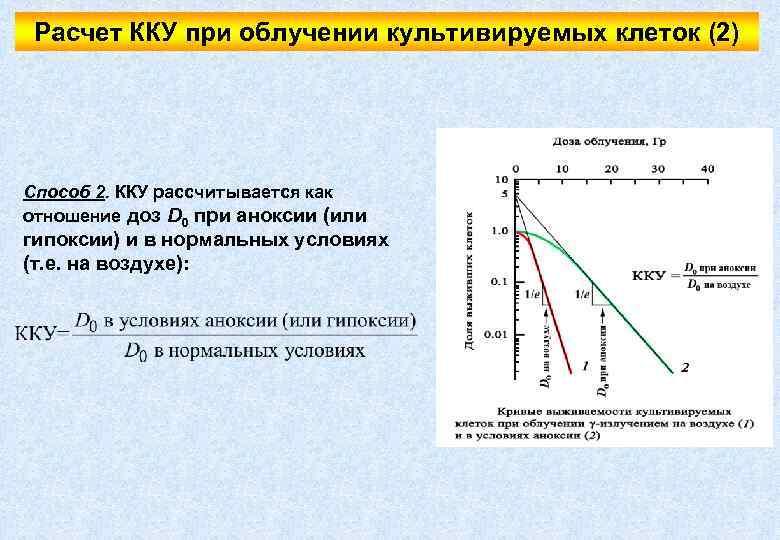 Расчет ККУ при облучении культивируемых клеток (2) Способ 2. ККУ рассчитывается как отношение доз