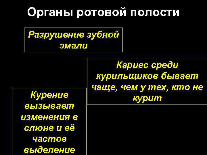 Органы ротовой полости Разрушение зубной эмали Курение вызывает изменения в слюне и её частое