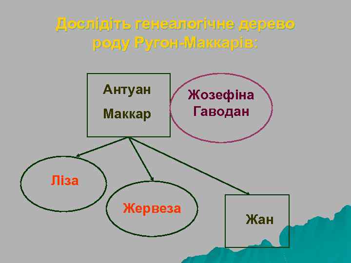Дослідіть генеалогічне дерево роду Ругон-Маккарів: Антуан Маккар Жозефіна Гаводан Ліза Жервеза Жан 