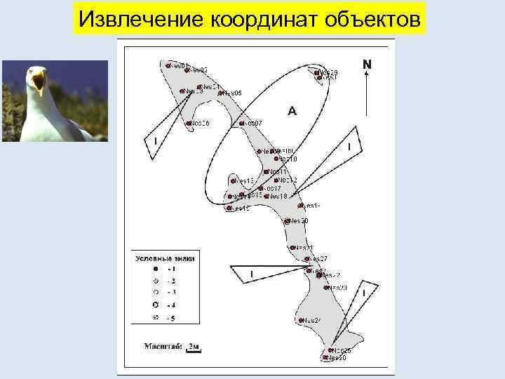 Извлечение координат объектов 