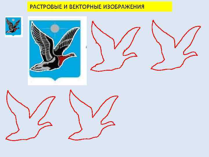 РАСТРОВЫЕ И ВЕКТОРНЫЕ ИЗОБРАЖЕНИЯ 