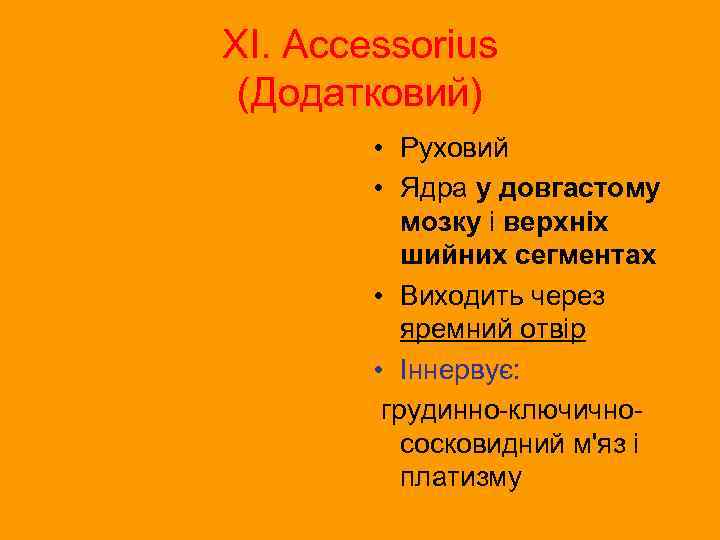 XI. Accessorius (Додатковий) • Руховий • Ядра у довгастому мозку і верхніх шийних сегментах