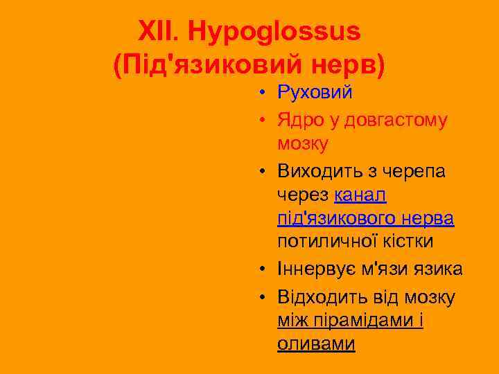 XII. Hypoglossus (Під'язиковий нерв) • Руховий • Ядро у довгастому мозку • Виходить з