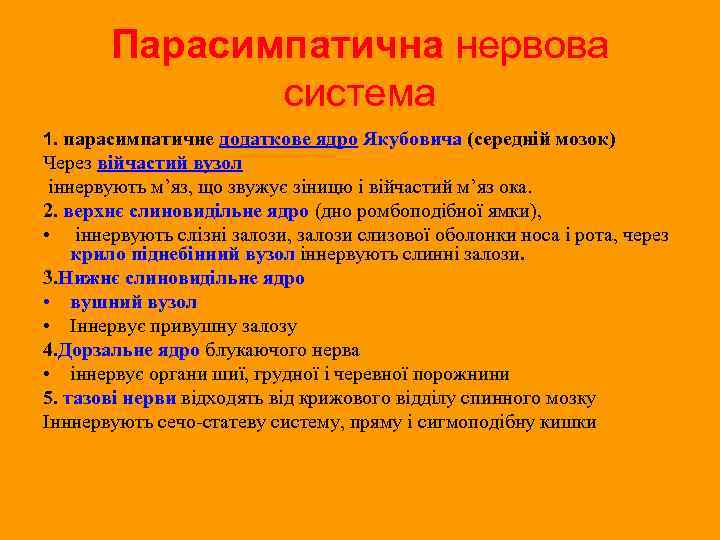 Парасимпатична нервова система 1. парасимпатичне додаткове ядро Якубовича (середній мозок) Через війчастий вузол іннервують