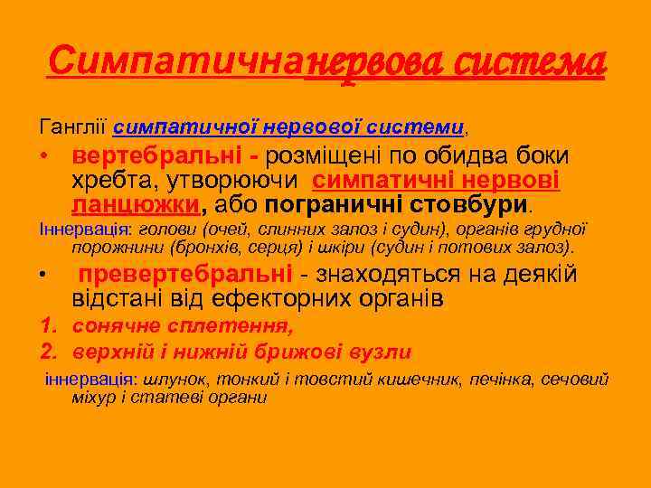 Симпатичнанервова система Ганглії симпатичної нервової системи, • вертебральні - розміщені по обидва боки хребта,