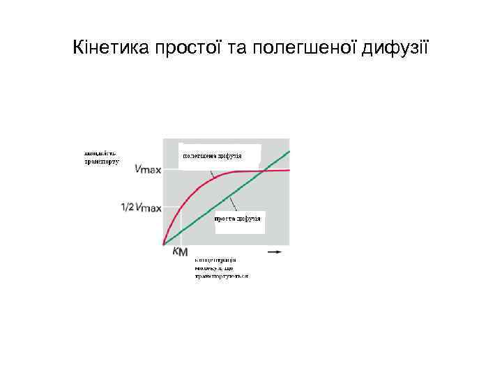 Кінетика простої та полегшеної дифузії 