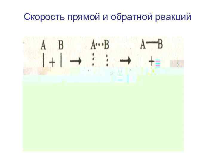 Скорость прямой и обратной реакций 