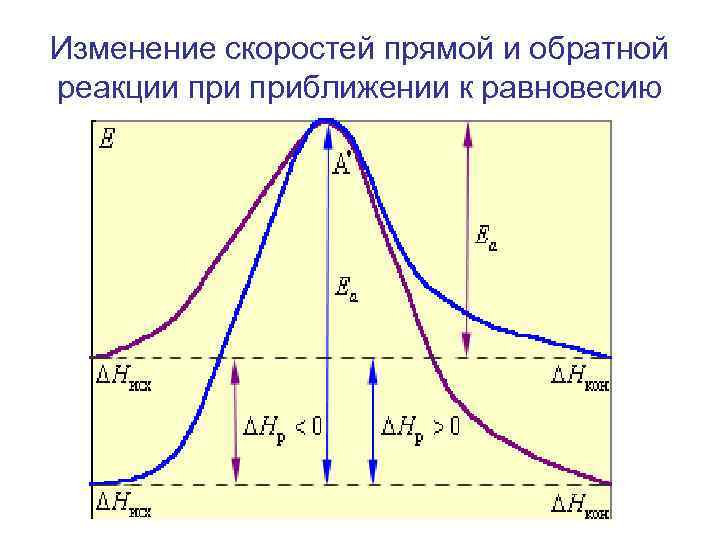 Изменение скоростей прямой и обратной реакции приближении к равновесию 