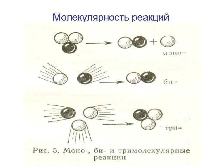 Молекулярность реакций 