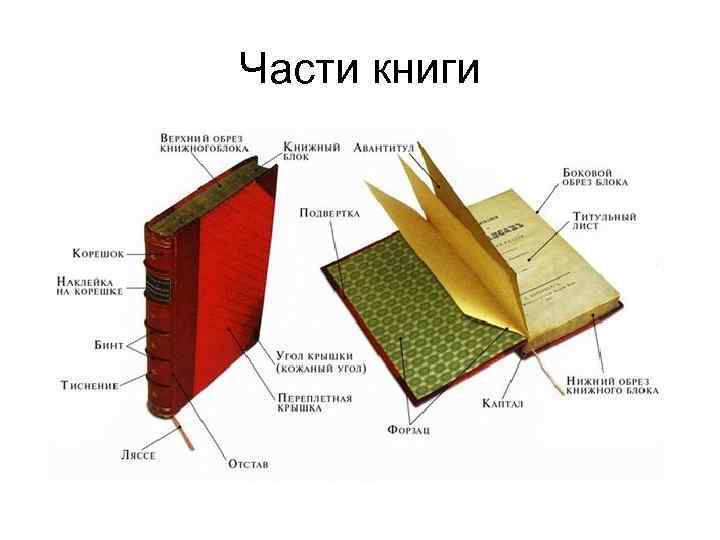 Части книги 