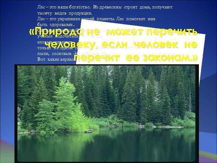 Лес – это наше богатство. Из древесины строят дома, получают тысячу видов продукции. Лес