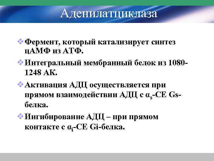 Аденилатциклаза v Фермент, который катализирует синтез ц. АМФ из АТФ. v Интегральный мембранный белок