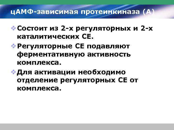 ц. АМФ-зависимая протеинкиназа (А) v Состоит из 2 -х регуляторных и 2 -х каталитических