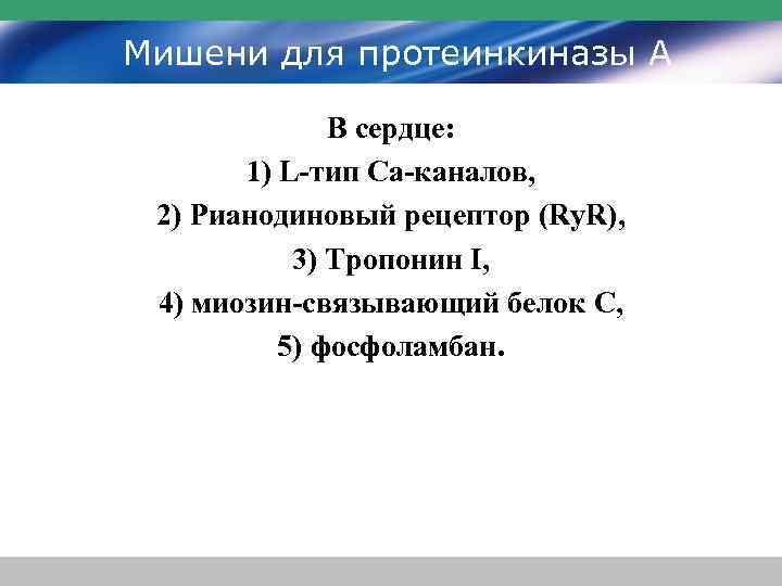 Мишени для протеинкиназы А В сердце: 1) L-тип Ca-каналов, 2) Рианодиновый рецептор (Ry. R),