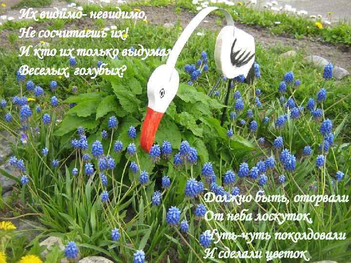 Их видимо- невидимо, Не сосчитаешь их! И кто их только выдумал. Веселых, голубых? Должно