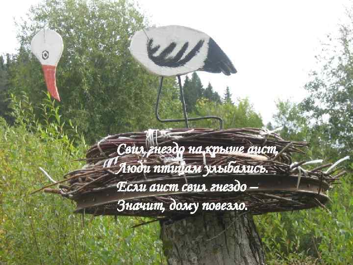 Аист свил гнездо на крыше но его сожрали мыши из гуся сварили суп