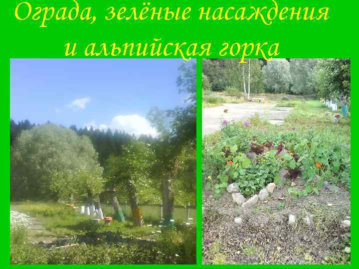 Ограда, зелёные насаждения и альпийская горка 