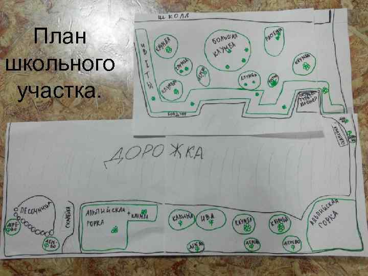 План школьного участка. 