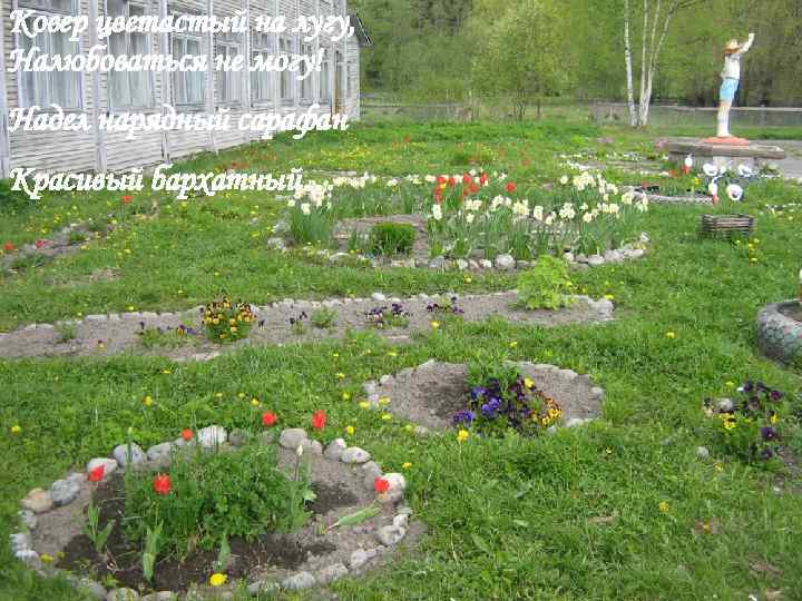 Ковер цветастый на лугу, Налюбоваться не могу! Надел нарядный сарафан Красивый бархатный… 