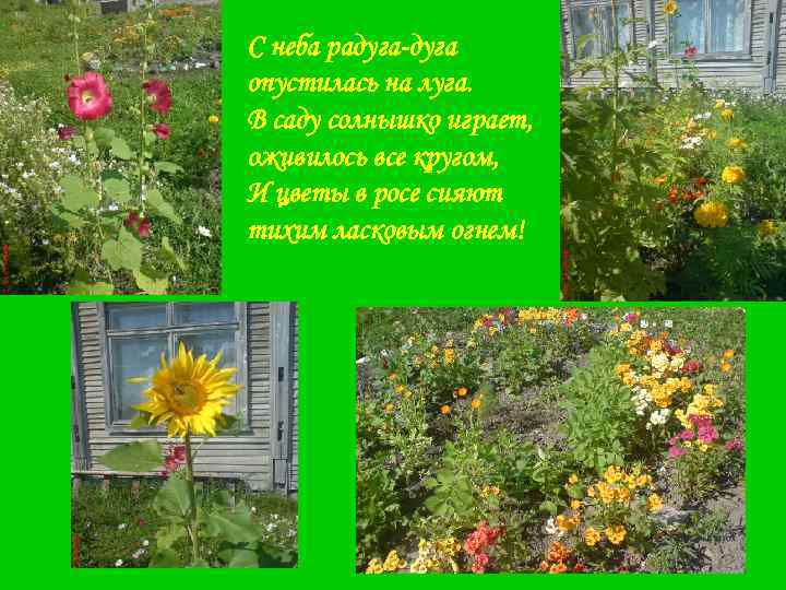 С неба радуга-дуга опустилась на луга. В саду солнышко играет, оживилось все кругом, И